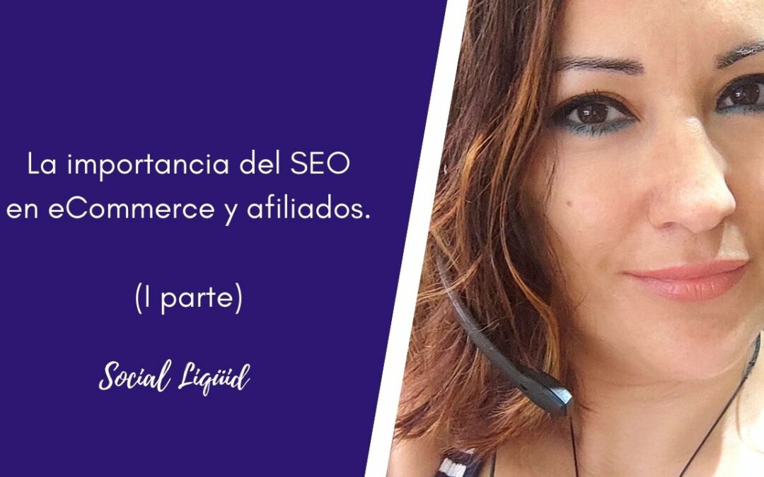 SEO en ecommerce online